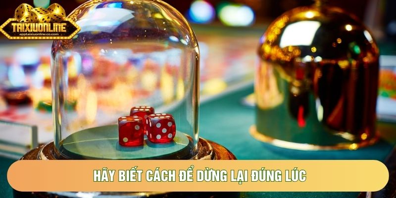 Hãy biết cách để dừng lại đúng lúc Hãy biết cách để dừng lại đúng lúc