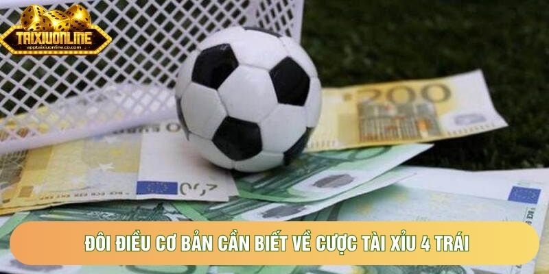 Đôi điều cơ bản cần biết về cược tài xỉu 4 trái Đôi điều cơ bản cần biết về cược tài xỉu 4 trái